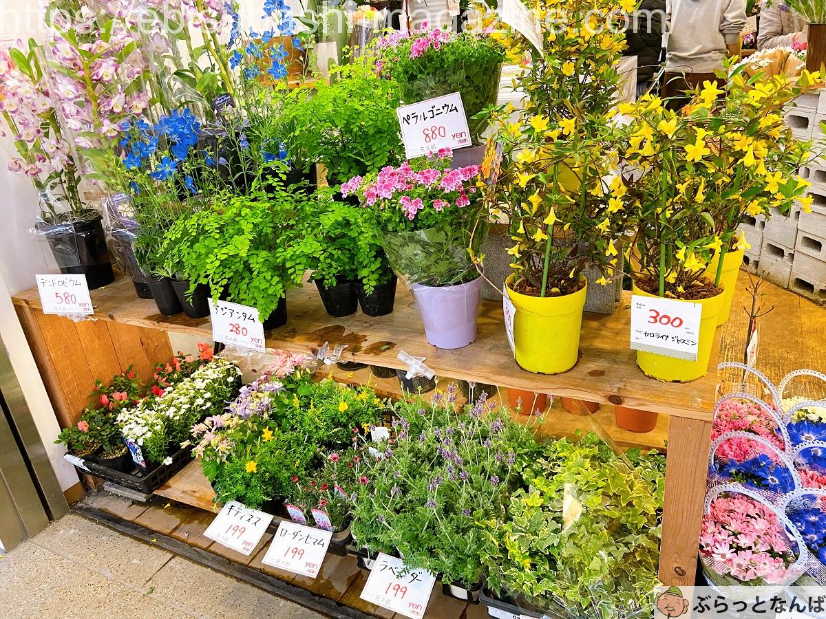 フラワーショップ花次郎